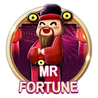 Mr Fortune